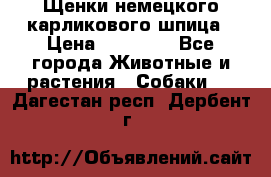 Щенки немецкого карликового шпица › Цена ­ 20 000 - Все города Животные и растения » Собаки   . Дагестан респ.,Дербент г.